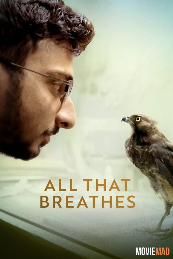 All That Breathes (2022) Hindi Dubbed ORG HDRip Full Movie 720p 480p