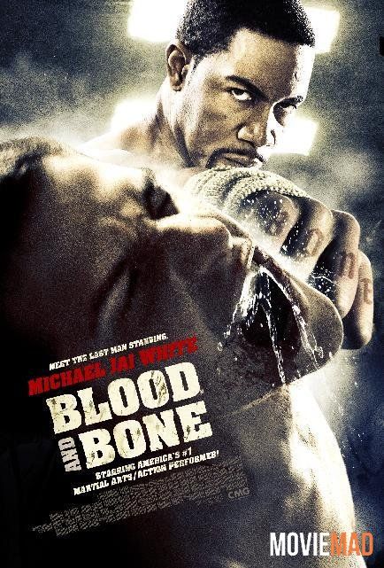 Blood and Bone 2009 BluRay Dual Audio Hindi 720p 480p x264