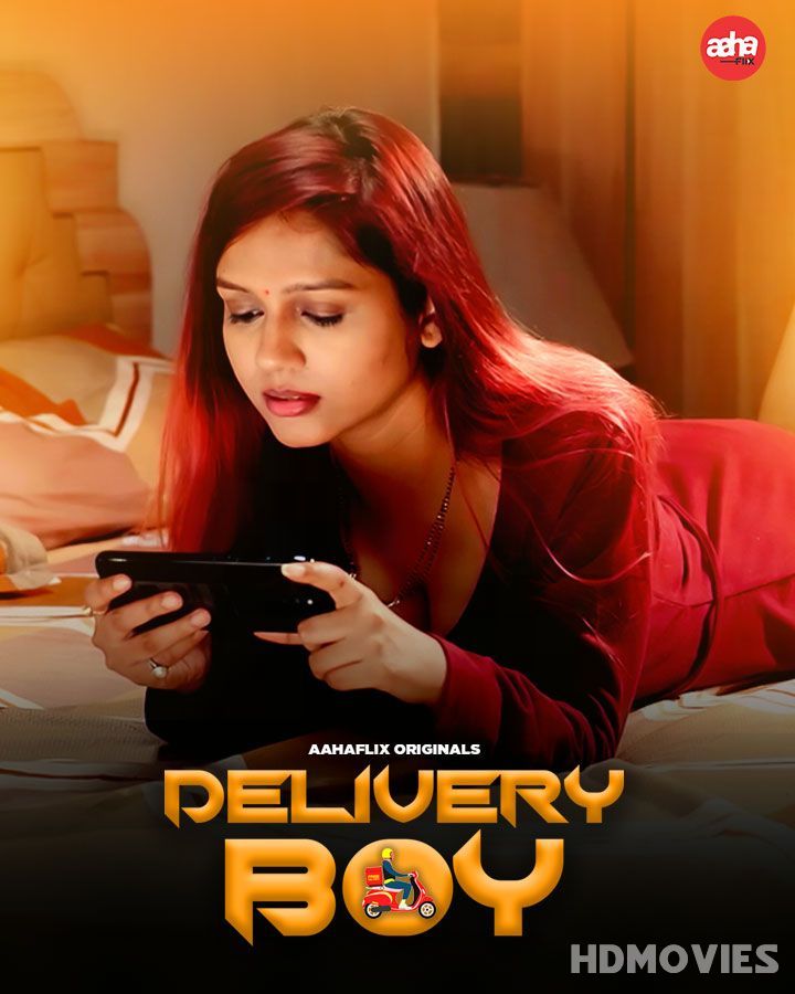 Delivery Boy (2024) Hindi AahaFlix