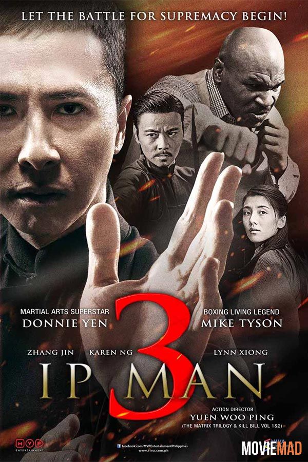 Ip Man 3 2015 Hindi Dubbed ORG BluRay Full Movie 720p 480p