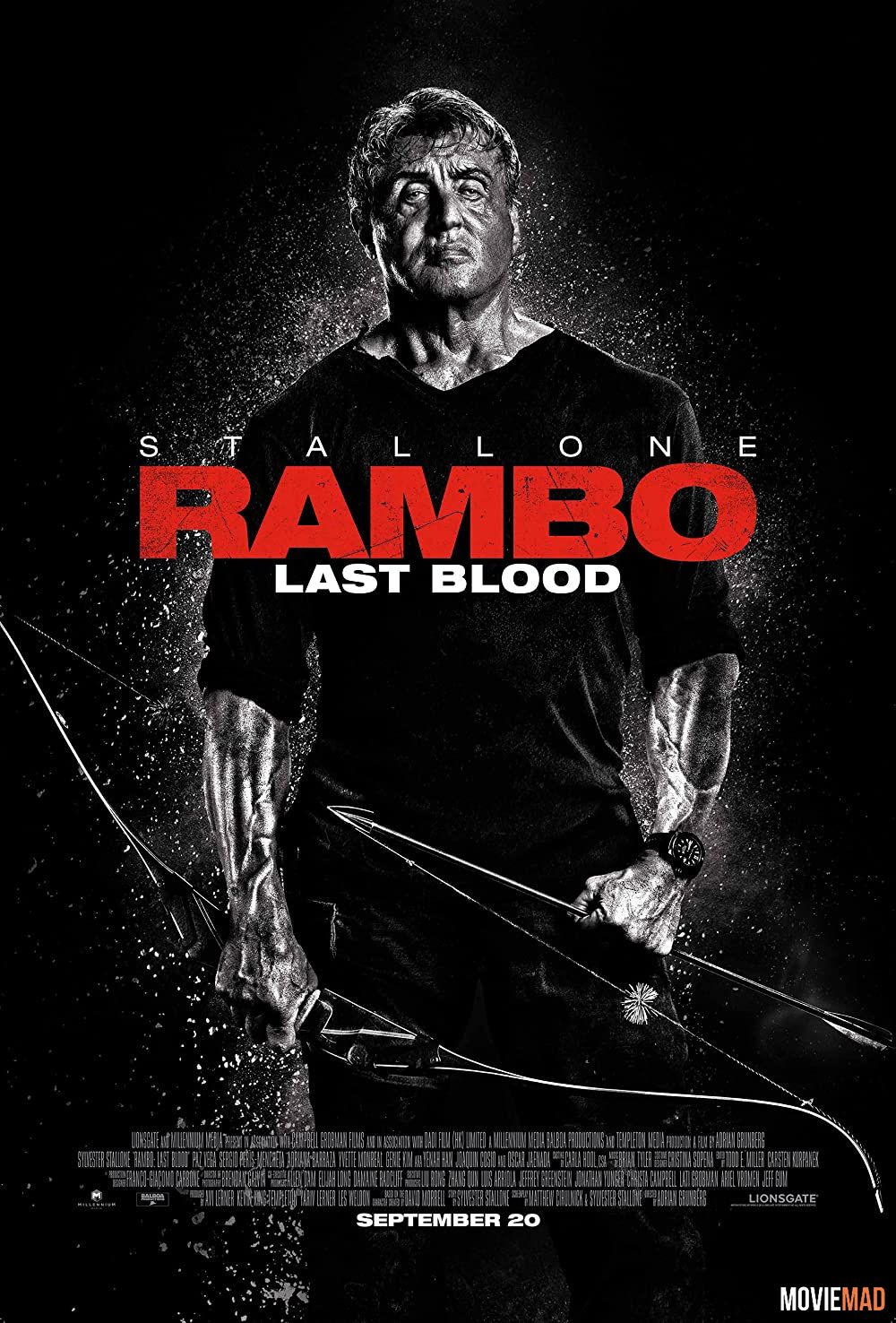 Rambo: Last Blood 2019 Hindi Dubbed BluRay Full Movie 720p 480p