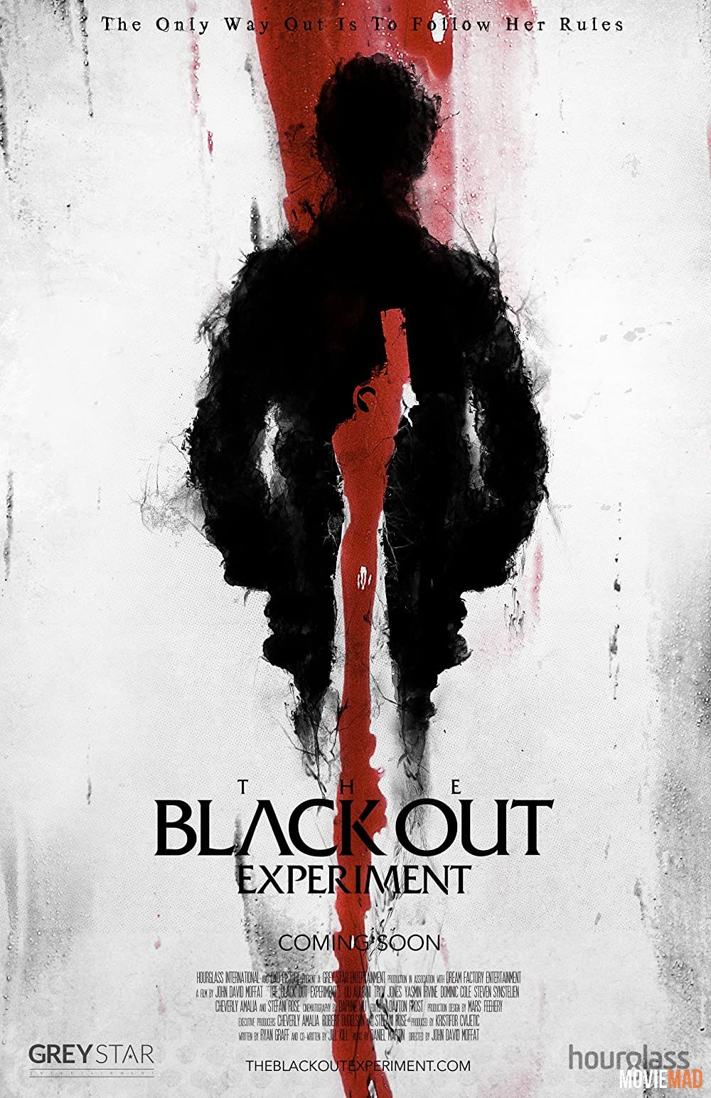 The Blackout Experiment (2021) Hindi Dubbed ORG HDRip Full Movie 720p 480p